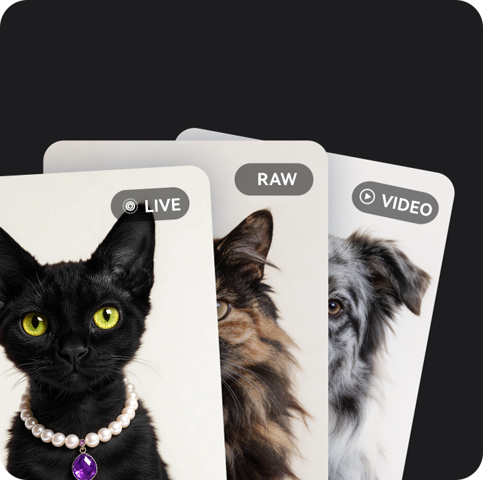 Preview all formats